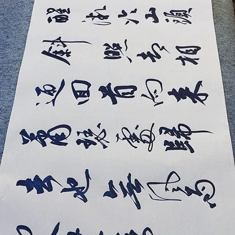 杨***刚的定风波行书作品111