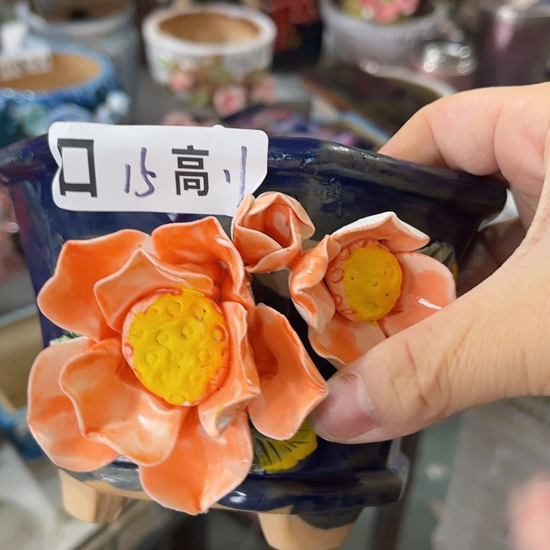 【闪购商品】红陶福利