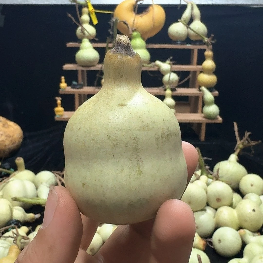 边***水八宝定向定向定向