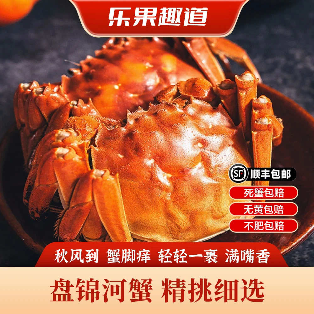 【活蟹】盘锦河蟹 1.9-1.7两 全母 到手10只 鲜活发货顺丰