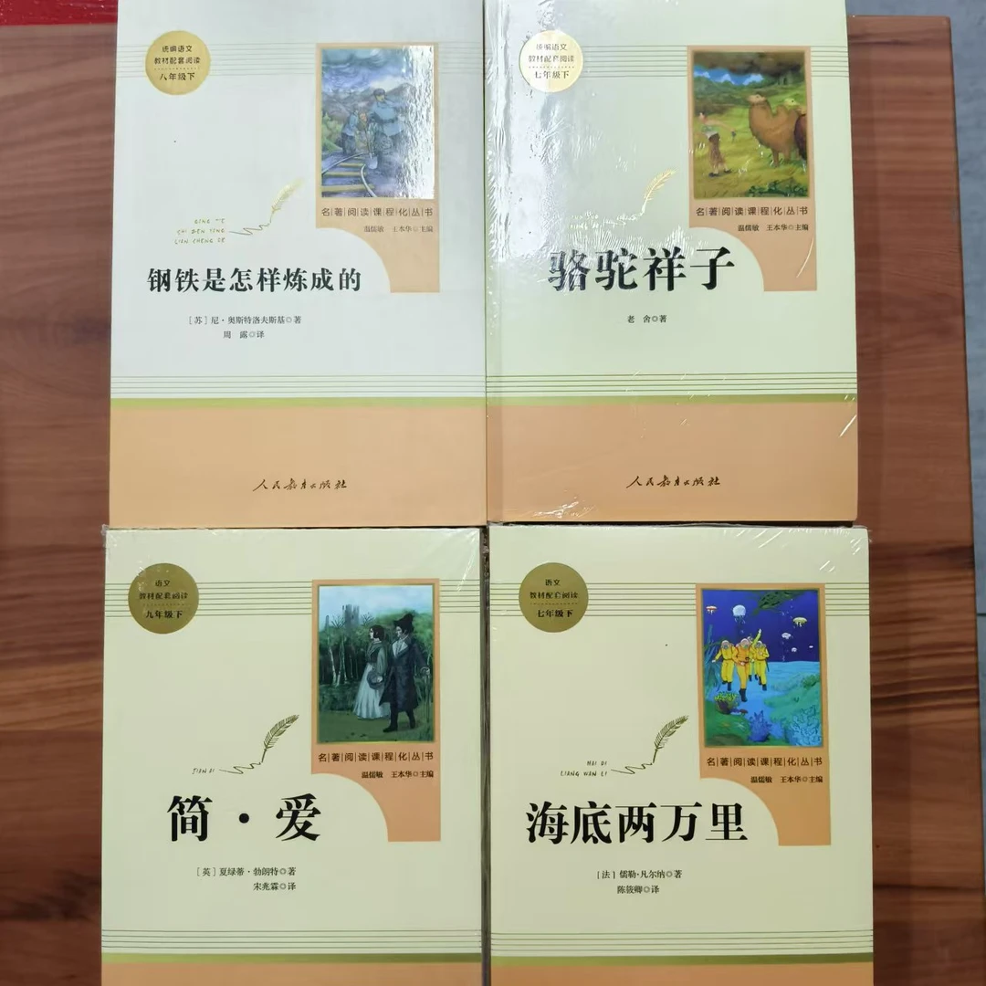 初中统编语文教材配套阅读《钢铁是怎样炼成的》《骆驼祥子》其他...