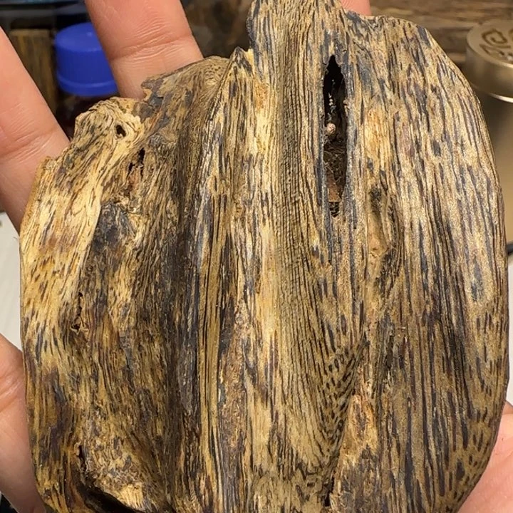 木?*隐奇楠天然包壳料