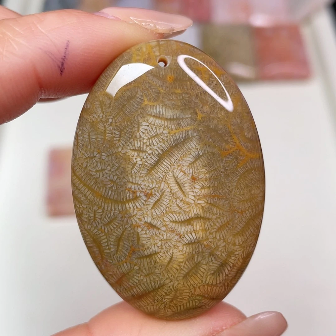 【闪购商品】未镶嵌吊坠(赠链)硅化玉