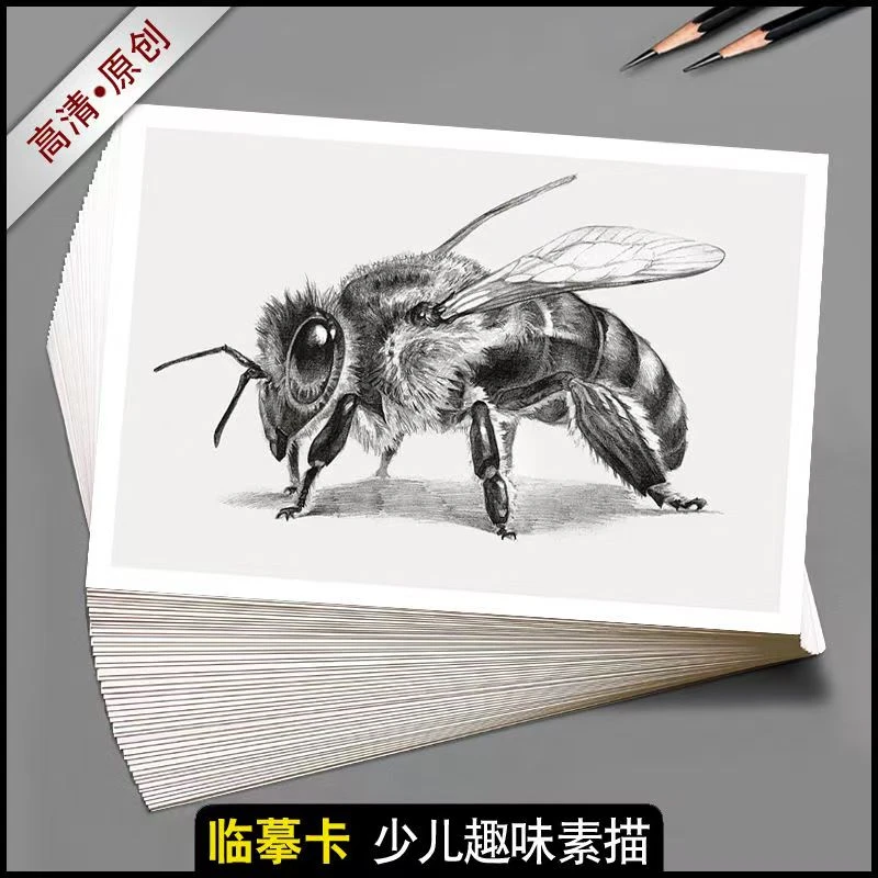 少儿趣味素描双面印刷创意美术临摹卡基础初学者培训教学高清32张