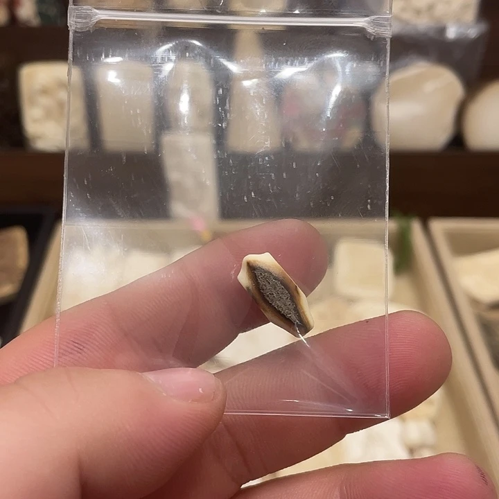 猛犸象牙其他天然猛犸牙雕刻品