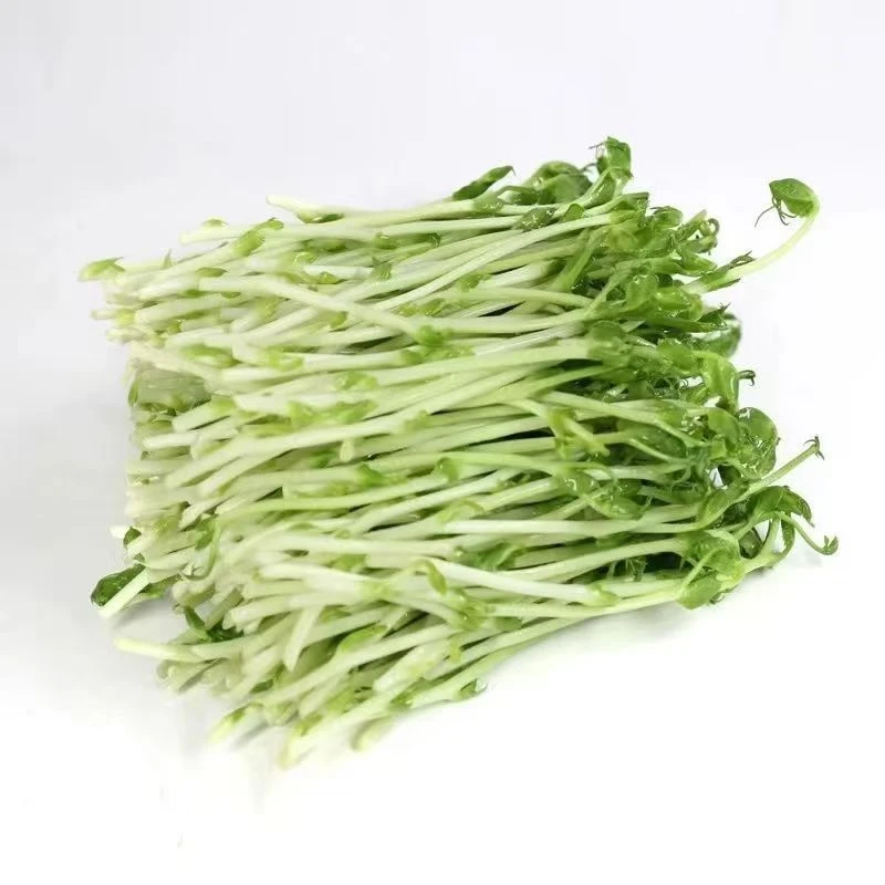顺丰包邮新鲜蔬菜水培豌豆苗蔬菜火锅西餐煲汤清炒芽苗菜健康食材