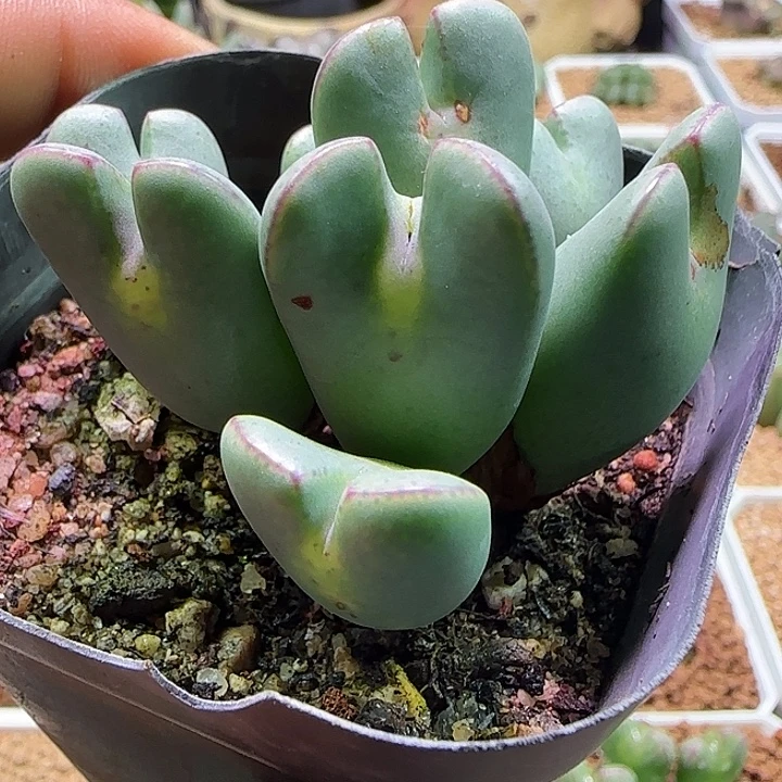 哈哈哈哈哈哈哈。 830