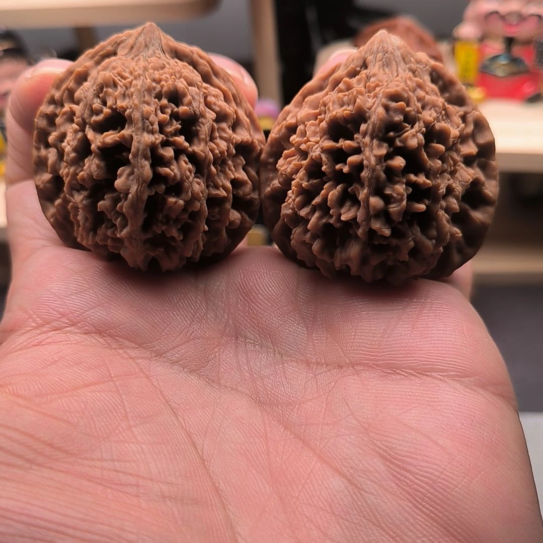 原装满天星44尺福利