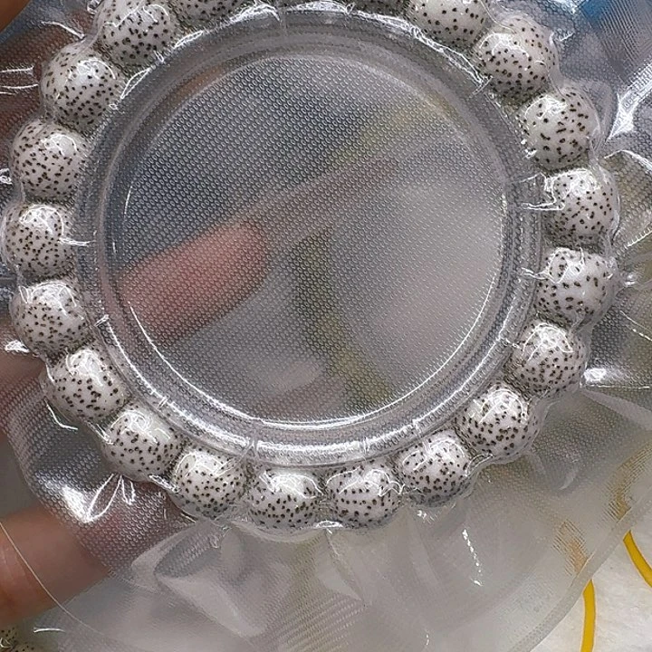 星月菩提手串549灭火白星月菩提11桶单圈