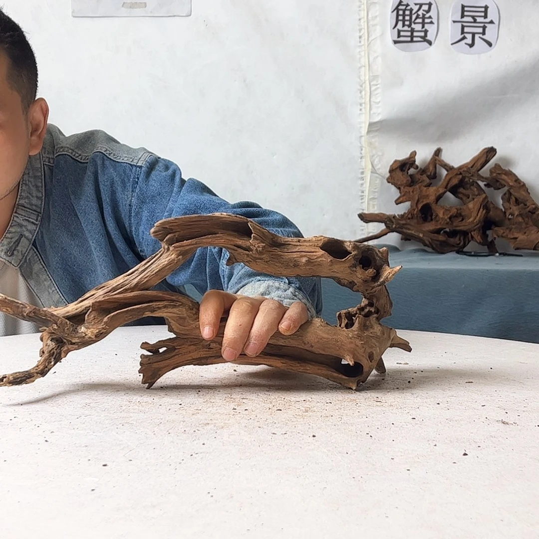 沉木造景爬宠造景