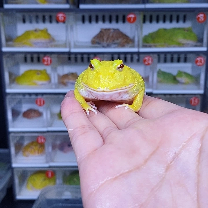 特价秒杀现货特价残