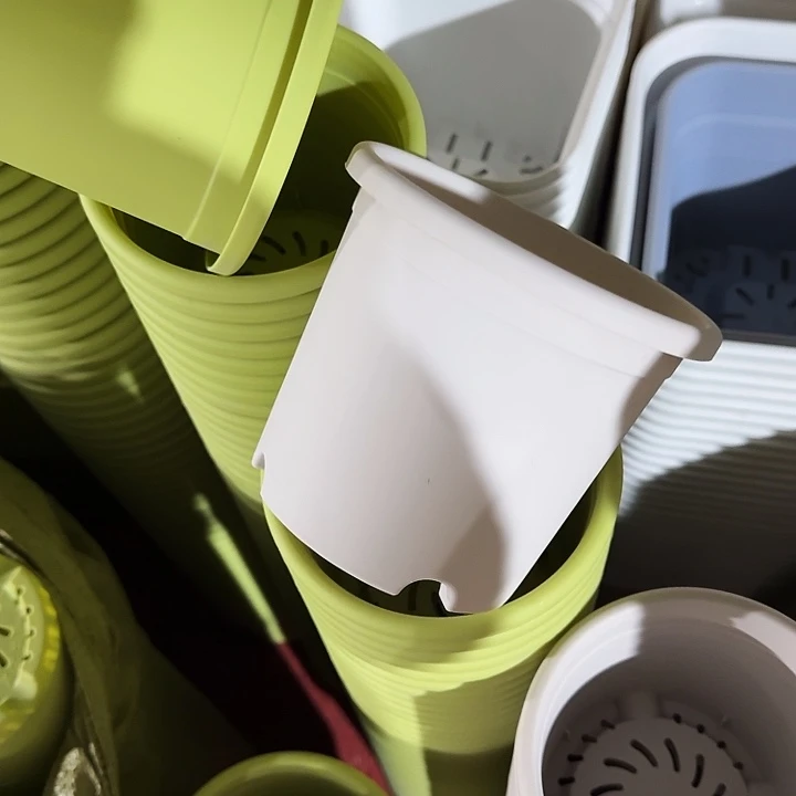 四季1号灰白无托20个