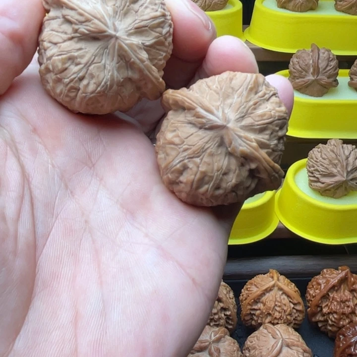 核桃南瓜墩。 全品无修
