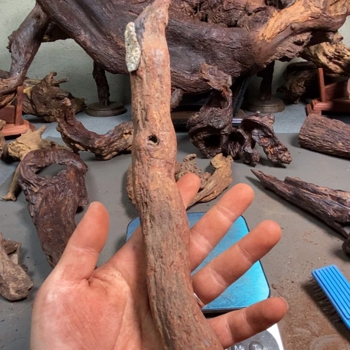 黄花梨/降香黄檀小*陈