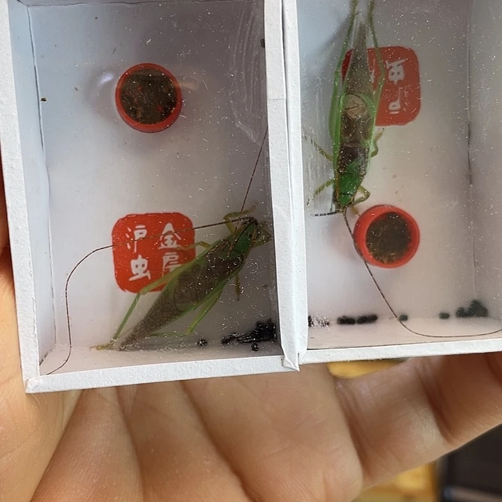 眯***眯霍氏2啊啊啊啊啊啊