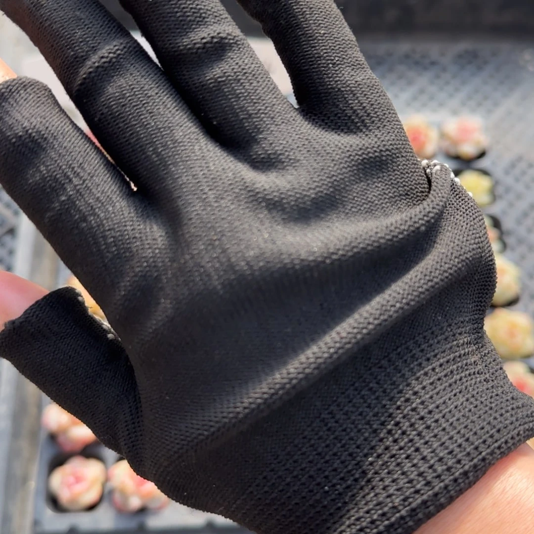 冰玉群哈哈哈哈哈哈哈哈