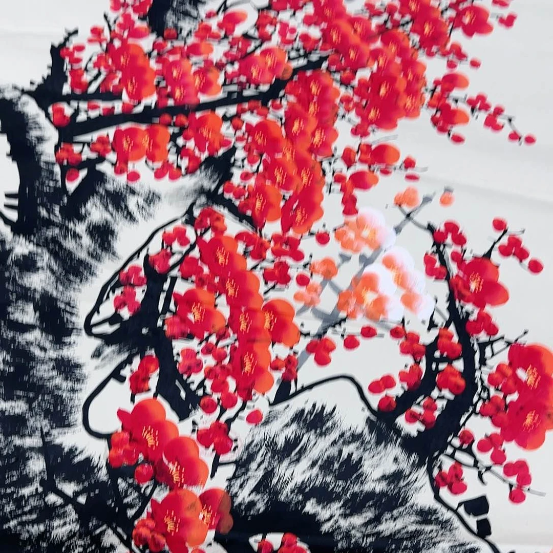 横款牡丹花盛开的花朵！！牡丹