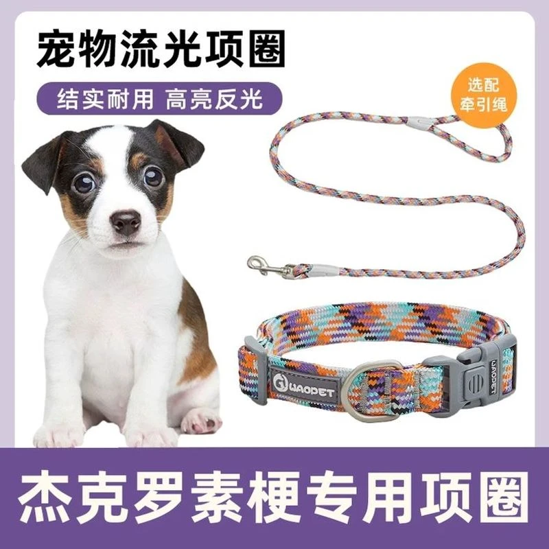杰克罗素梗专用项圈牵引绳宠物遛狗狗绳大型中型小型犬狗链子脖圈