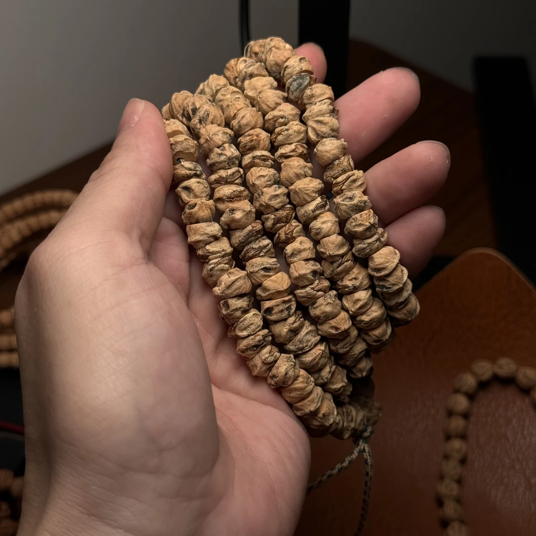 热振柏香籽大尺寸狂野肌肉斜切！