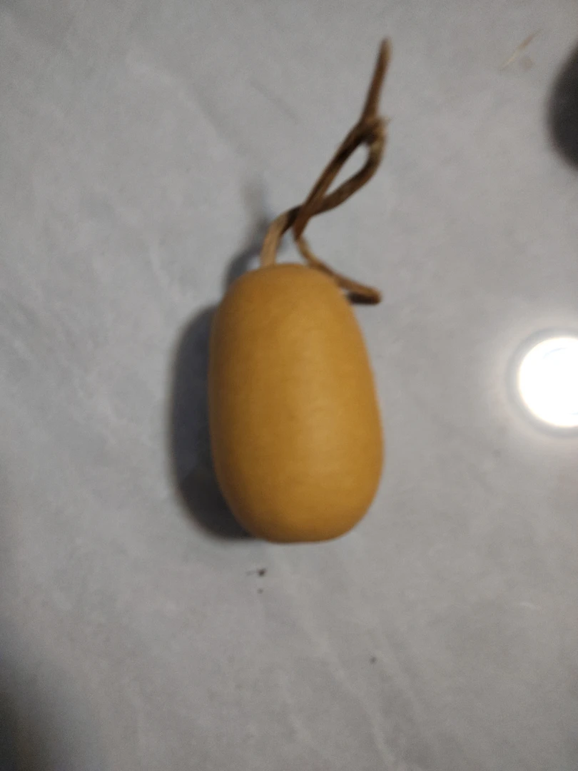 中号冬瓜天然葫芦