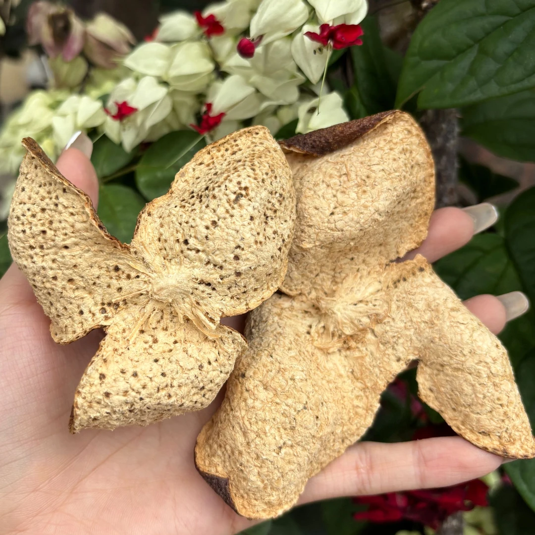 【五年头采二红】2019年梅江圈枝二红皮正宗新会陈皮入口顺滑回甘