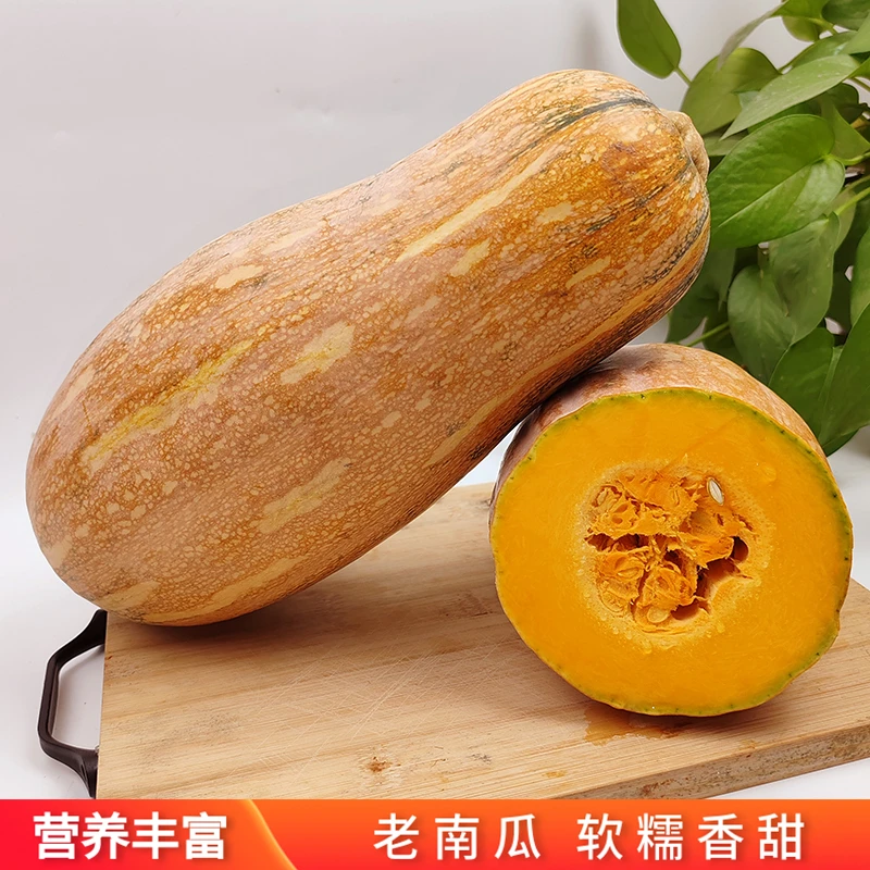 云南农家新鲜甜面老品种南瓜宝宝营养辅食黄南瓜长条南瓜减脂蔬菜