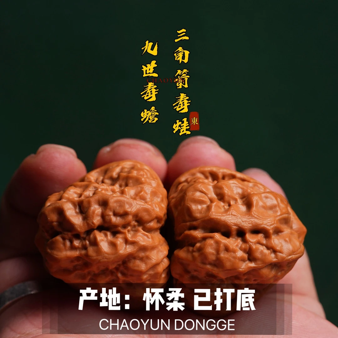 【東子专属】 DZ28 九世毒蟾三角箭毒蛙（双开背）文玩核桃