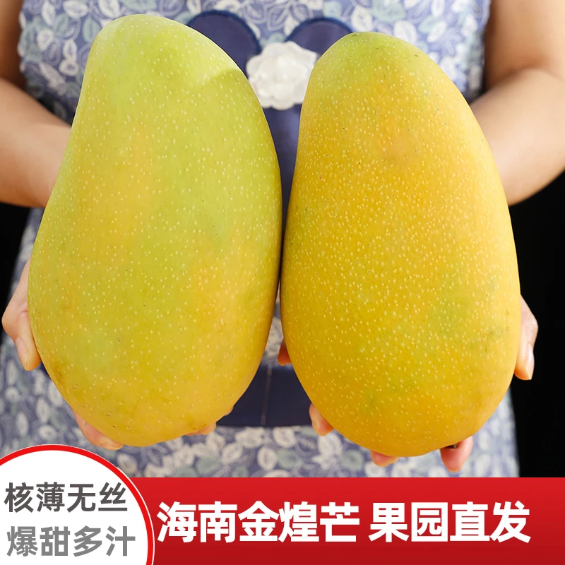 海南金煌芒5/9斤芒果一级大果新鲜水果现摘青甜心黄皮水仙芒整箱