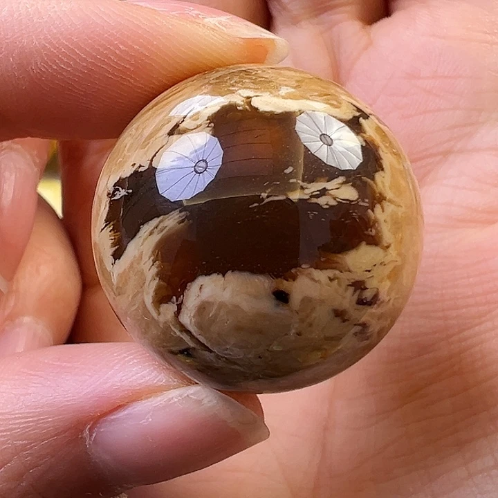 蜜蜡颈饰未镶嵌蜜蜡