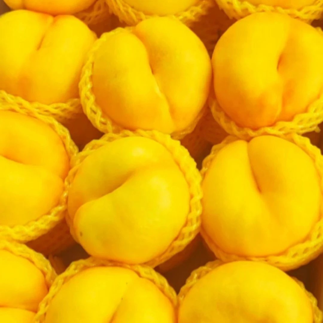 6个新品种（每个品种各两棵）