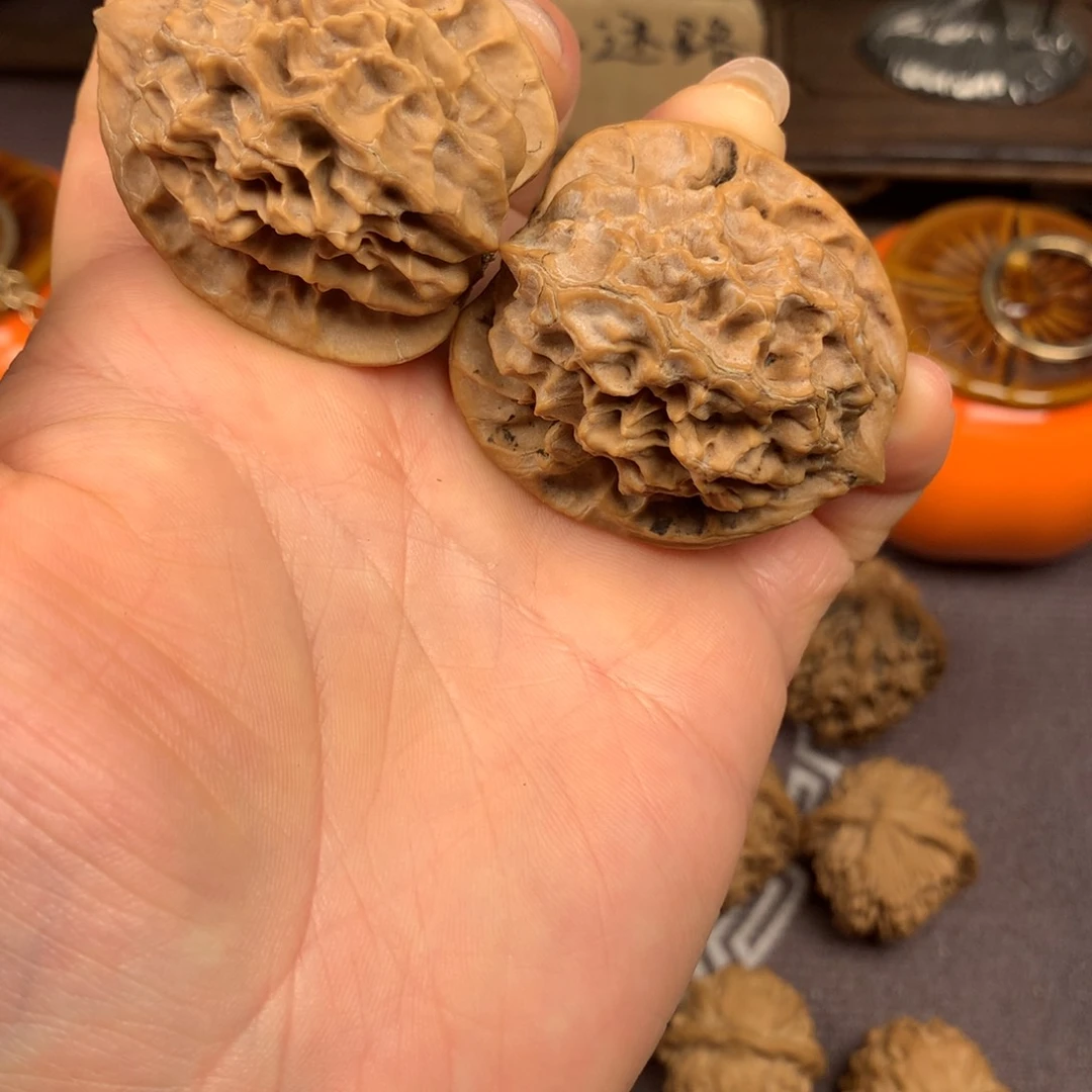 秦岭山脉和青山带组成