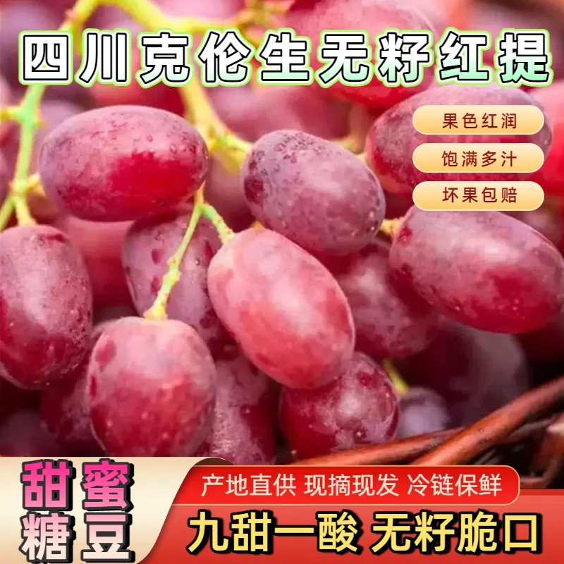 四川克伦生无籽红提葡萄现摘现发清甜多汁皮薄肉厚九甜一酸包邮