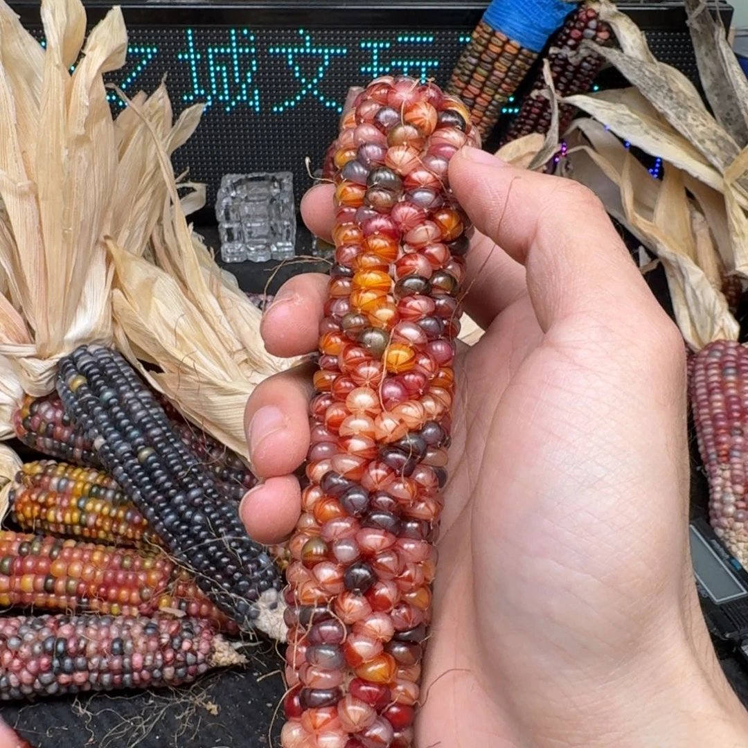 柏香籽/百香籽吊坠佩**姐