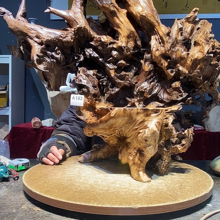 ?***和193株木的随行的根艺