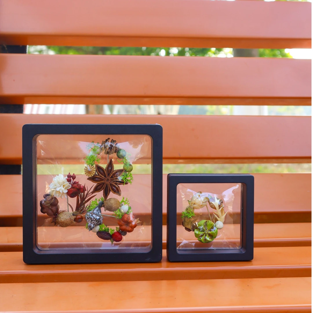 天然植物干花果实种子胸针随机盲盒可许愿文艺复古百搭圆形款