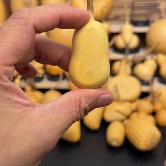 用****55588999999 0 99888