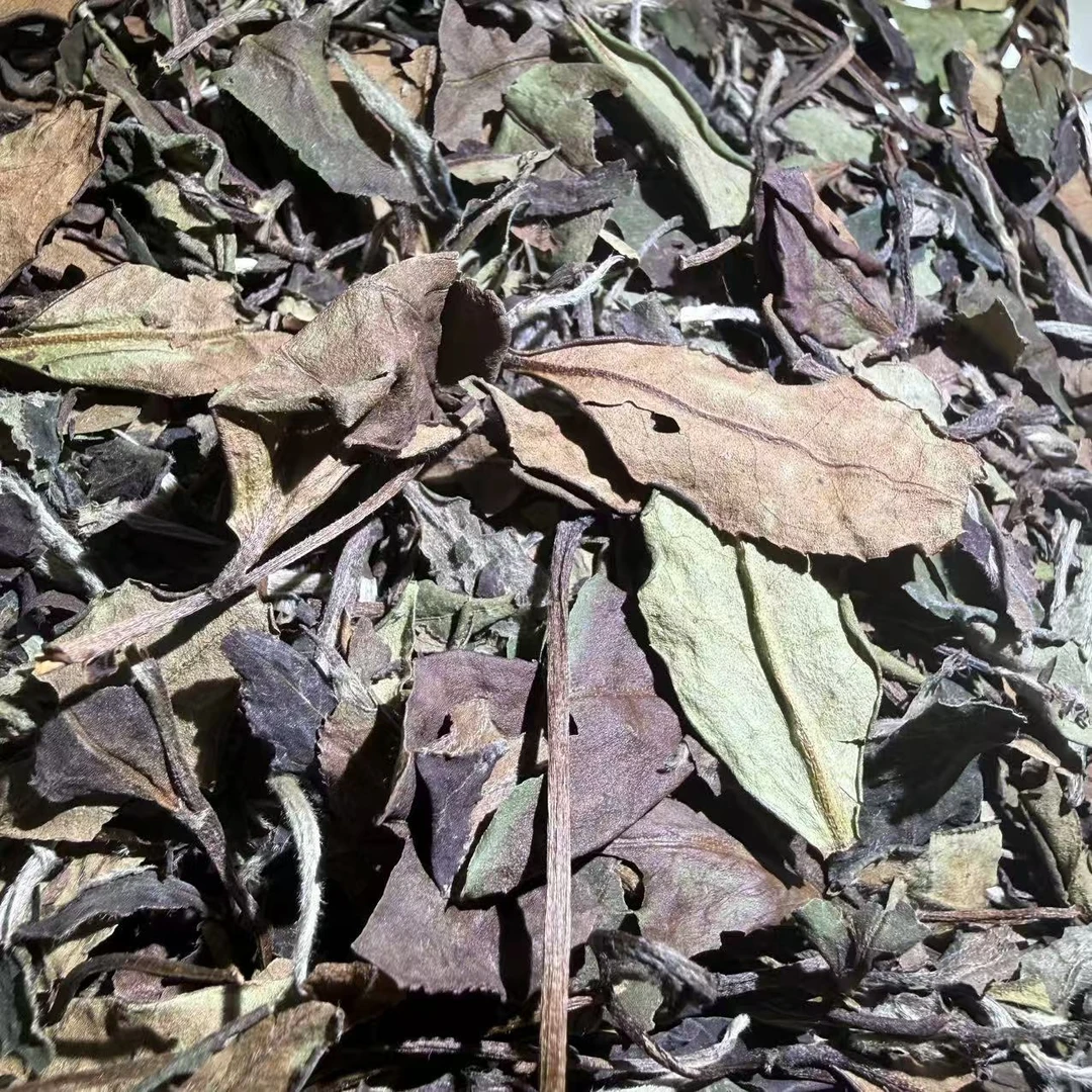 【茶江湖】林进贵·2018年·白露茶500g