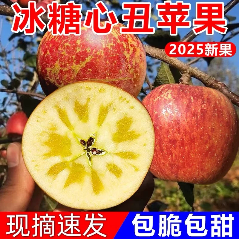 云南昭通糖心丑苹果苹果冰糖心脆甜多汁新鲜采摘不打蜡3/5斤包邮