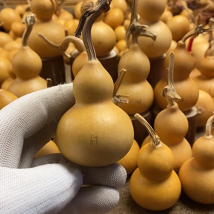 文玩葫芦 完美主义者 慎拍67