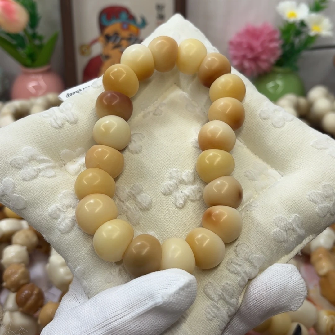 吊坠菩提根/象牙果18干磨落地果肠默认瑕556