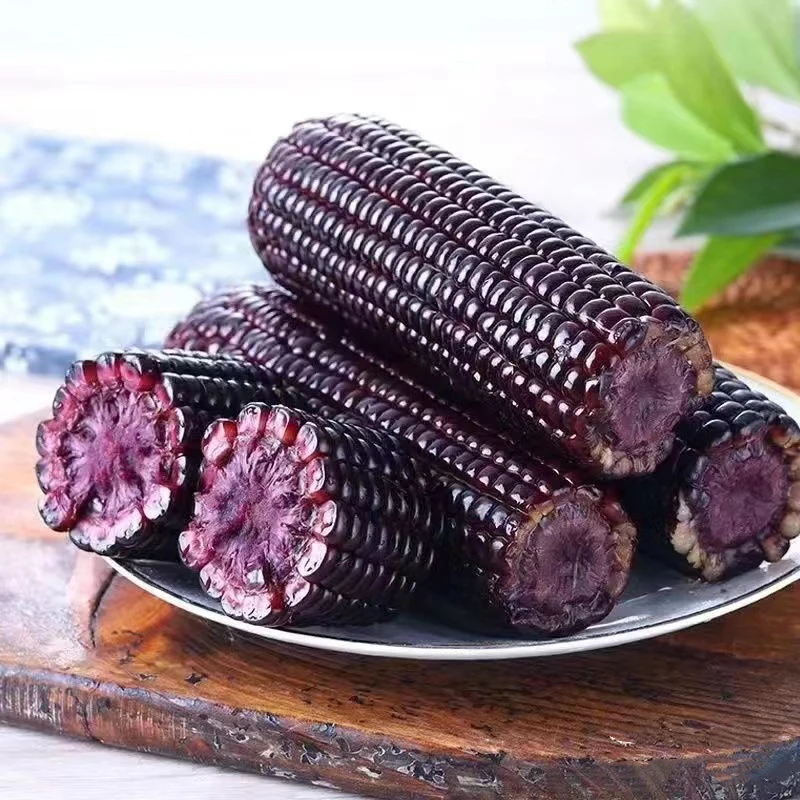 东北鲜糯黑玉米12根送2根