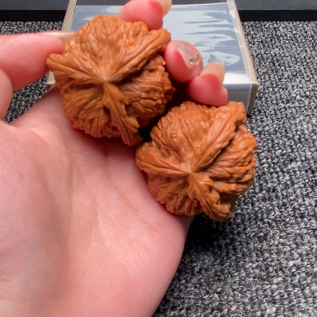 时***在木质类白狮子正奔