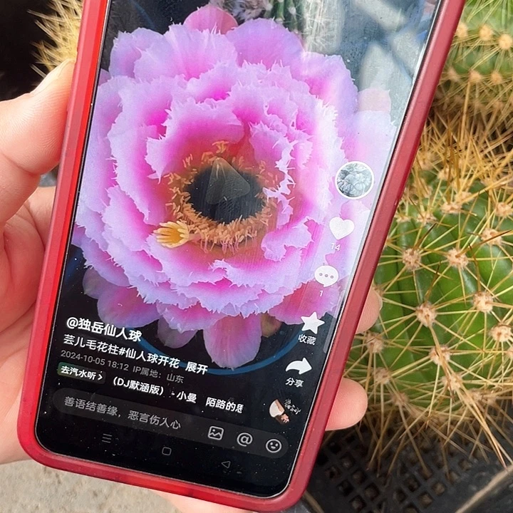 毛芸儿歪侧牙满18元包邮