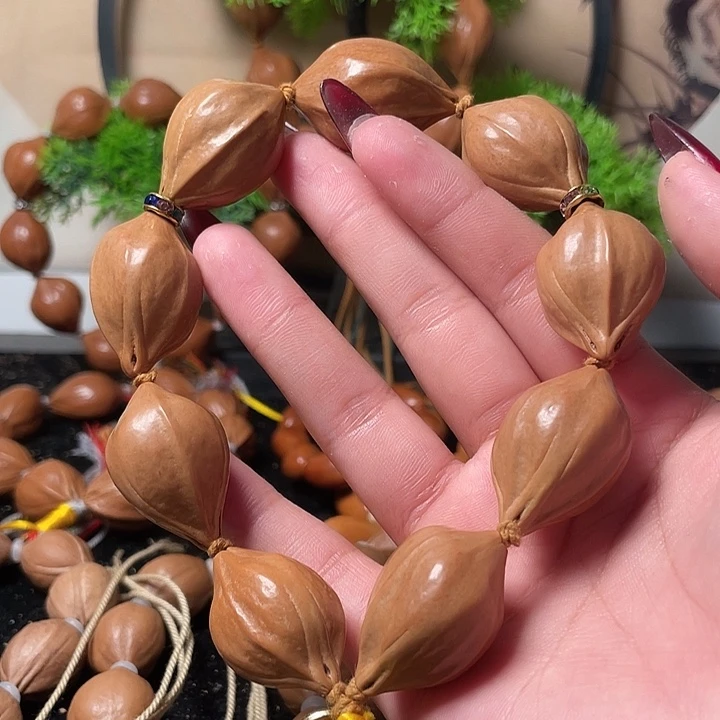 橄榄核手串/手链2.1鹦鹉手持9