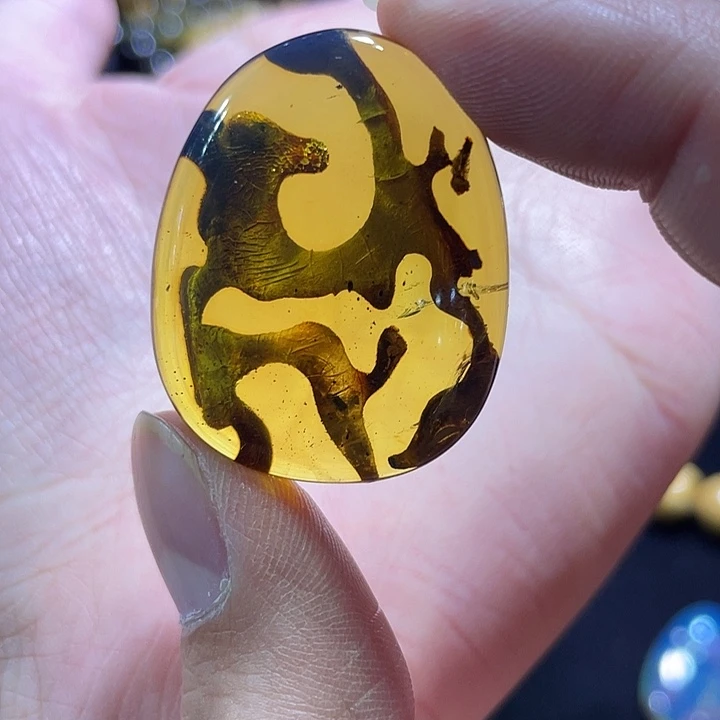 琥珀未镶嵌裸石植物意境珀