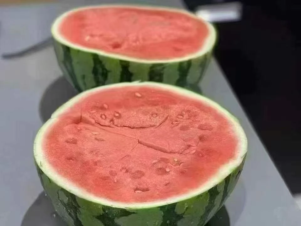 无籽麒麟西瓜，超脆甜多汁！1个拍