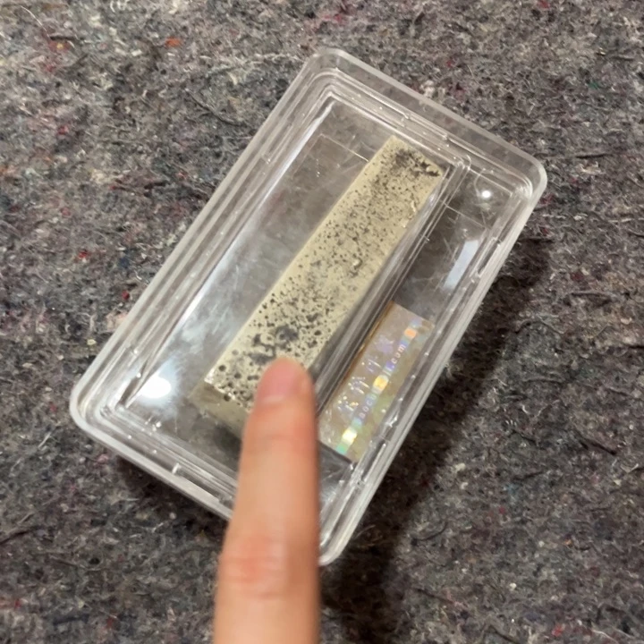 都是自己家的拍就完