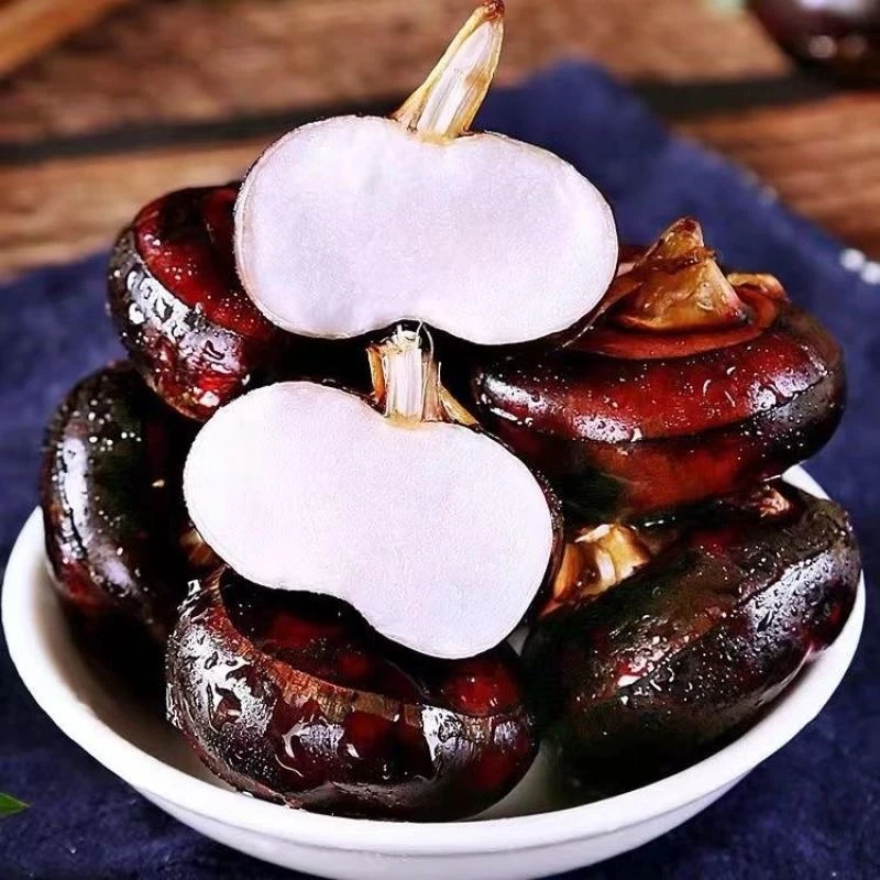 【助农专属】广西马蹄现挖新鲜荸荠应季水果地梨下饭菜新鲜蔬菜