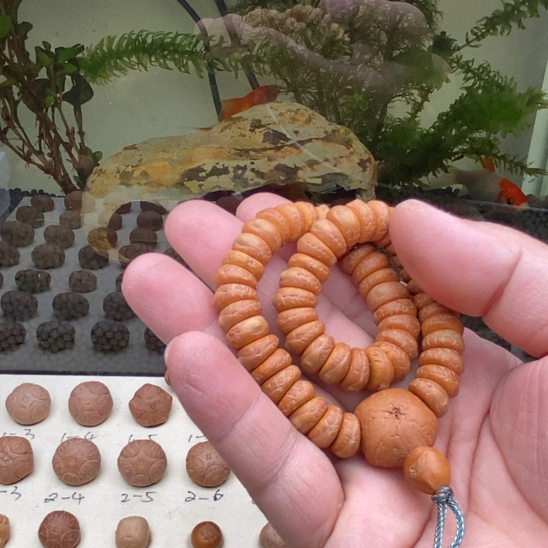 T***a吊坠凤眼菩提五星