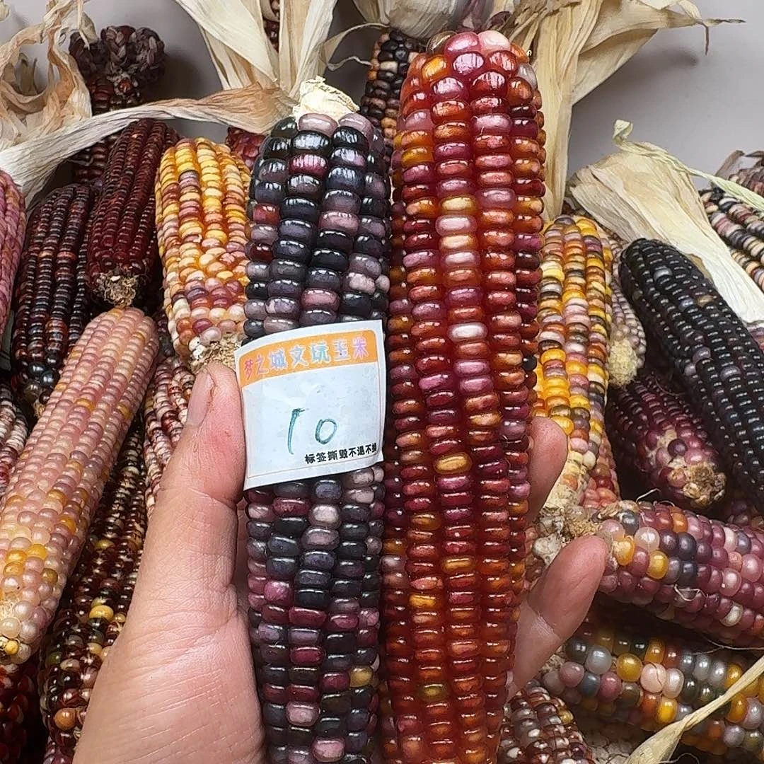 爱***移柏香籽/百香籽吊坠